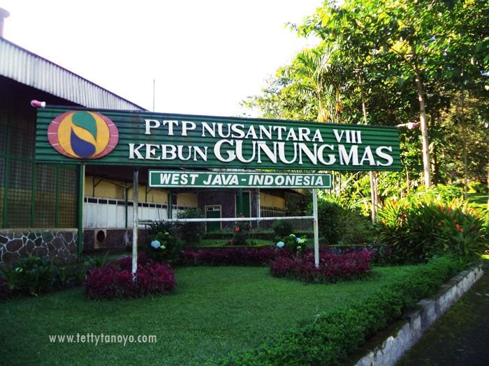 Agrowisata Gunung Mas, Puncak Bogor!